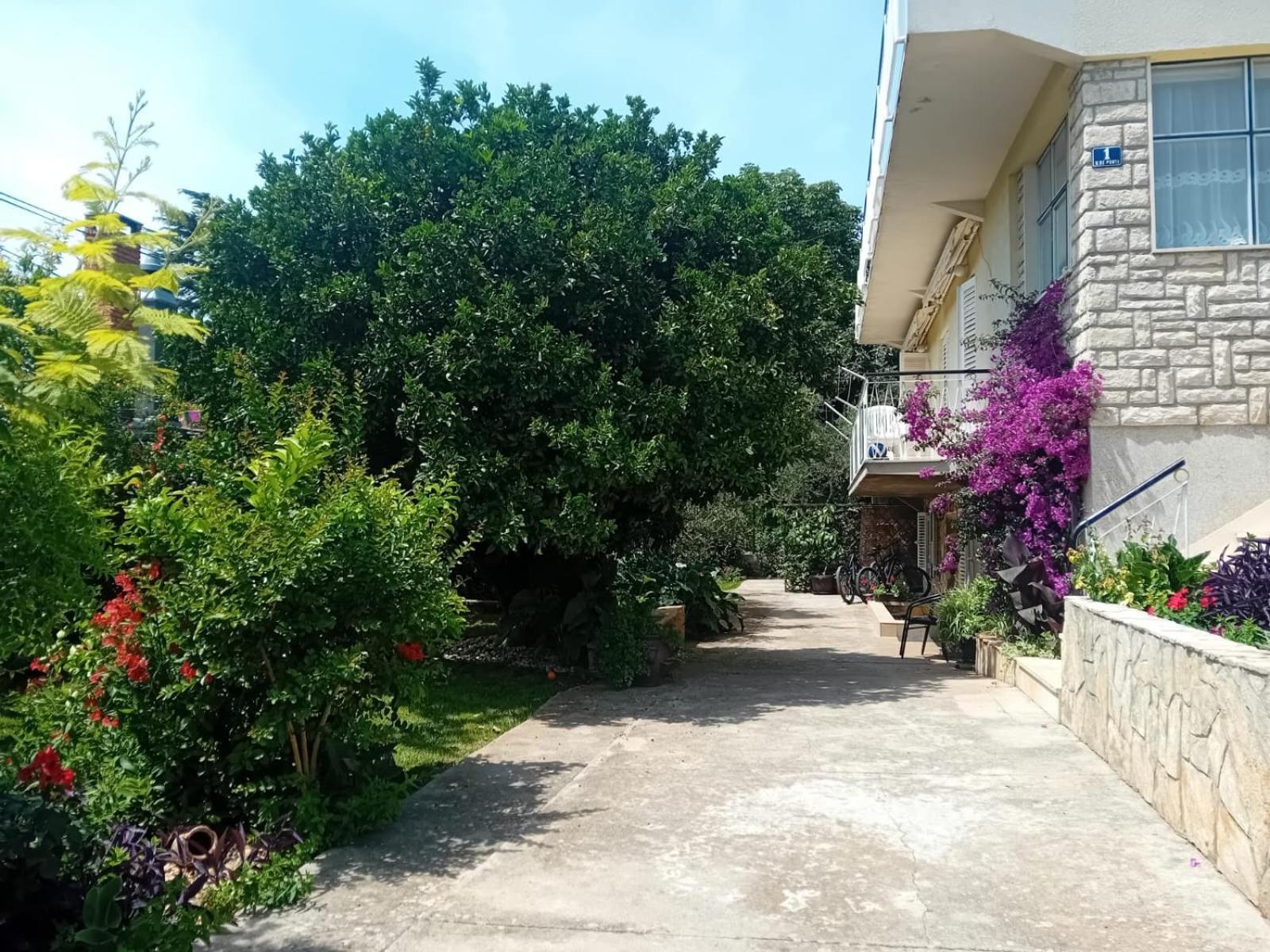 Apartments Angie Zadar Eksteriør billede